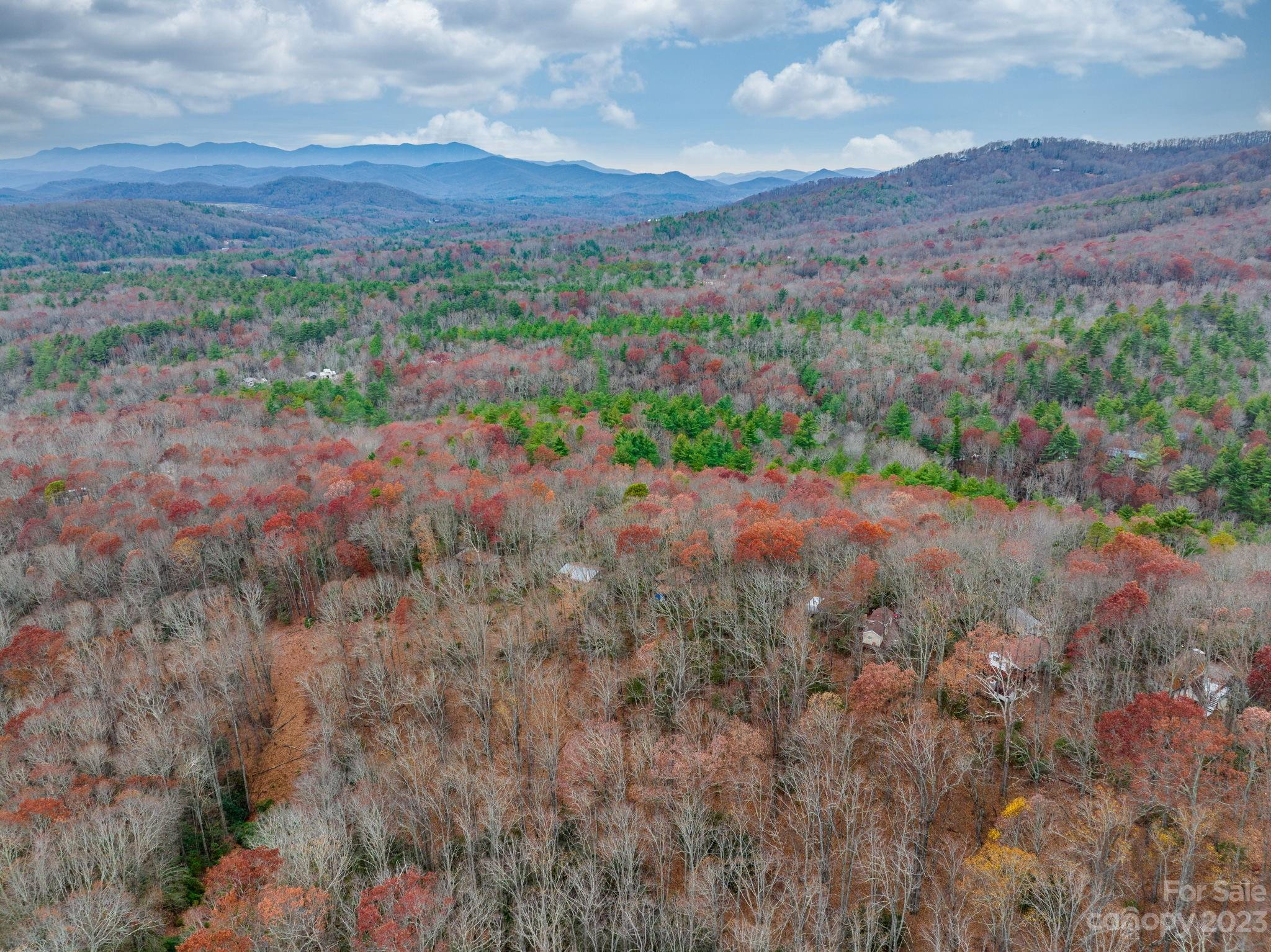 Bear Den Acres - Land