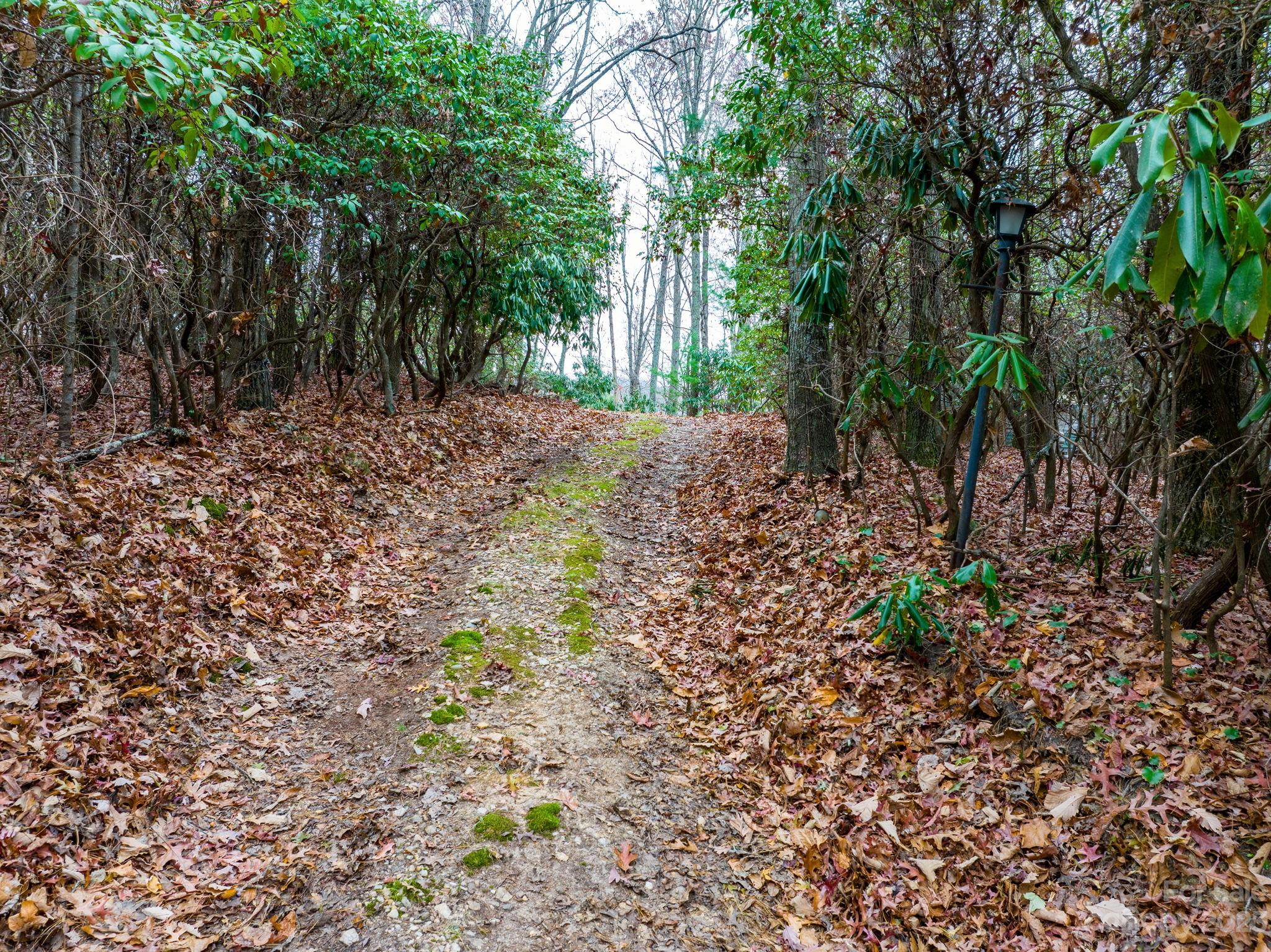 Bear Den Acres - Land