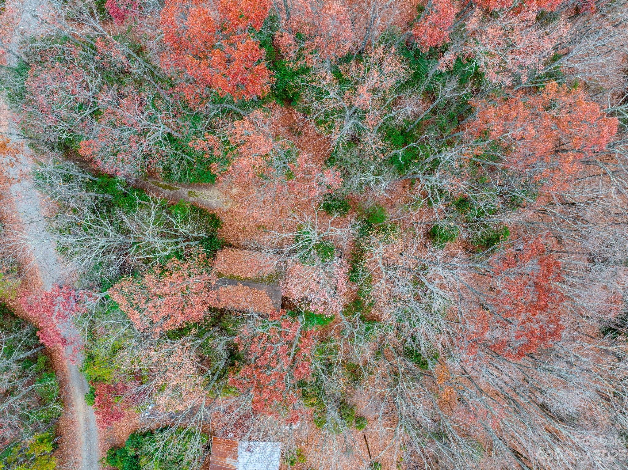 Bear Den Acres - Land