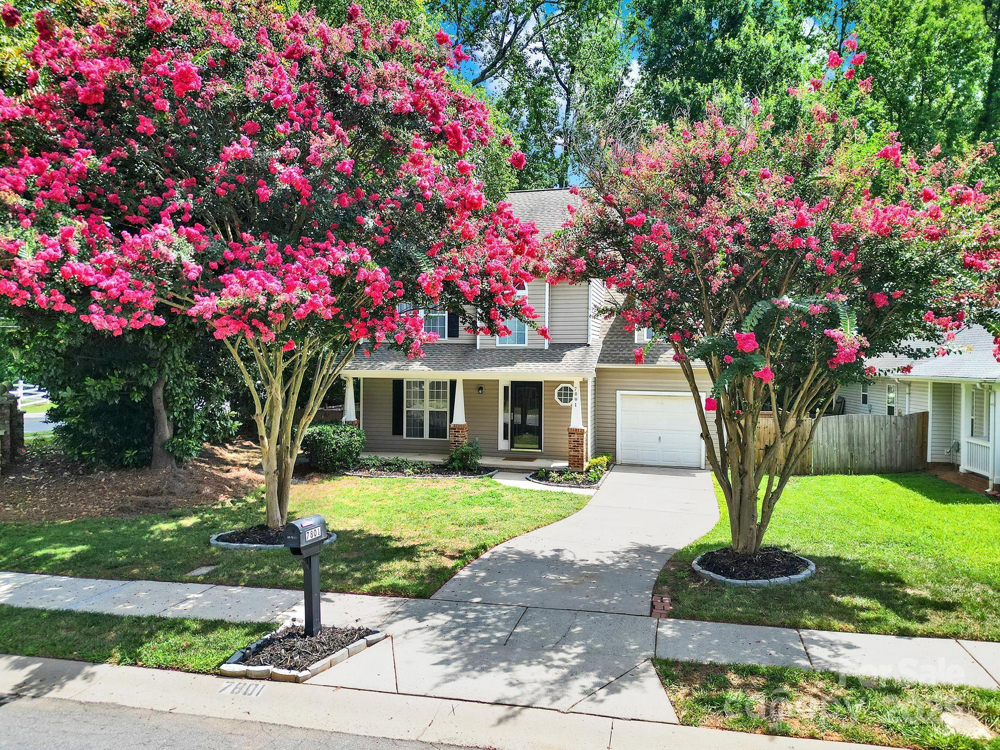 7801 Bella Vista Court