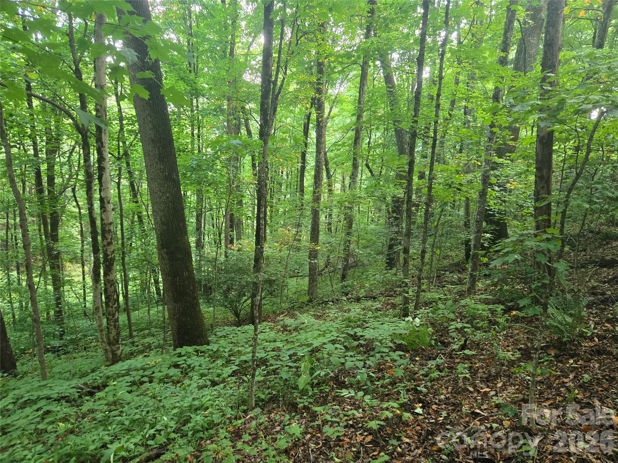 000 Rosemount Road, Sylva, NC, 28779
