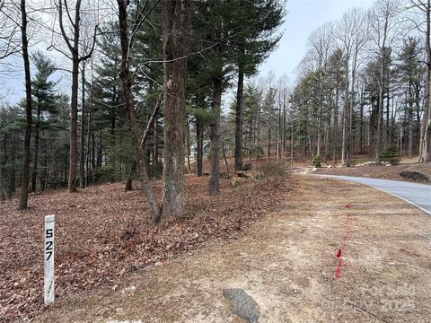 S - 27 Hollybrook Drive 27 Flat Rock NC 28731