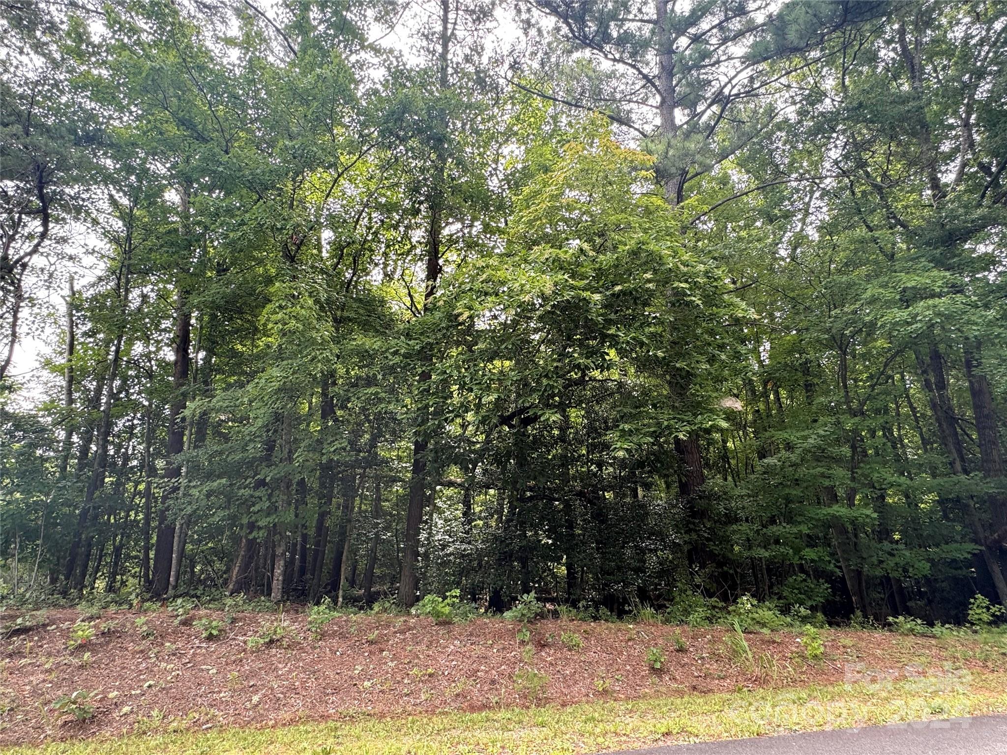 Carolina Forest - Land