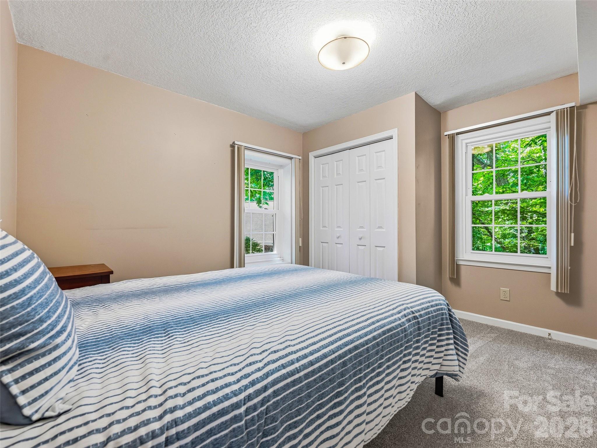 Reems Creek Golf Community - Residential