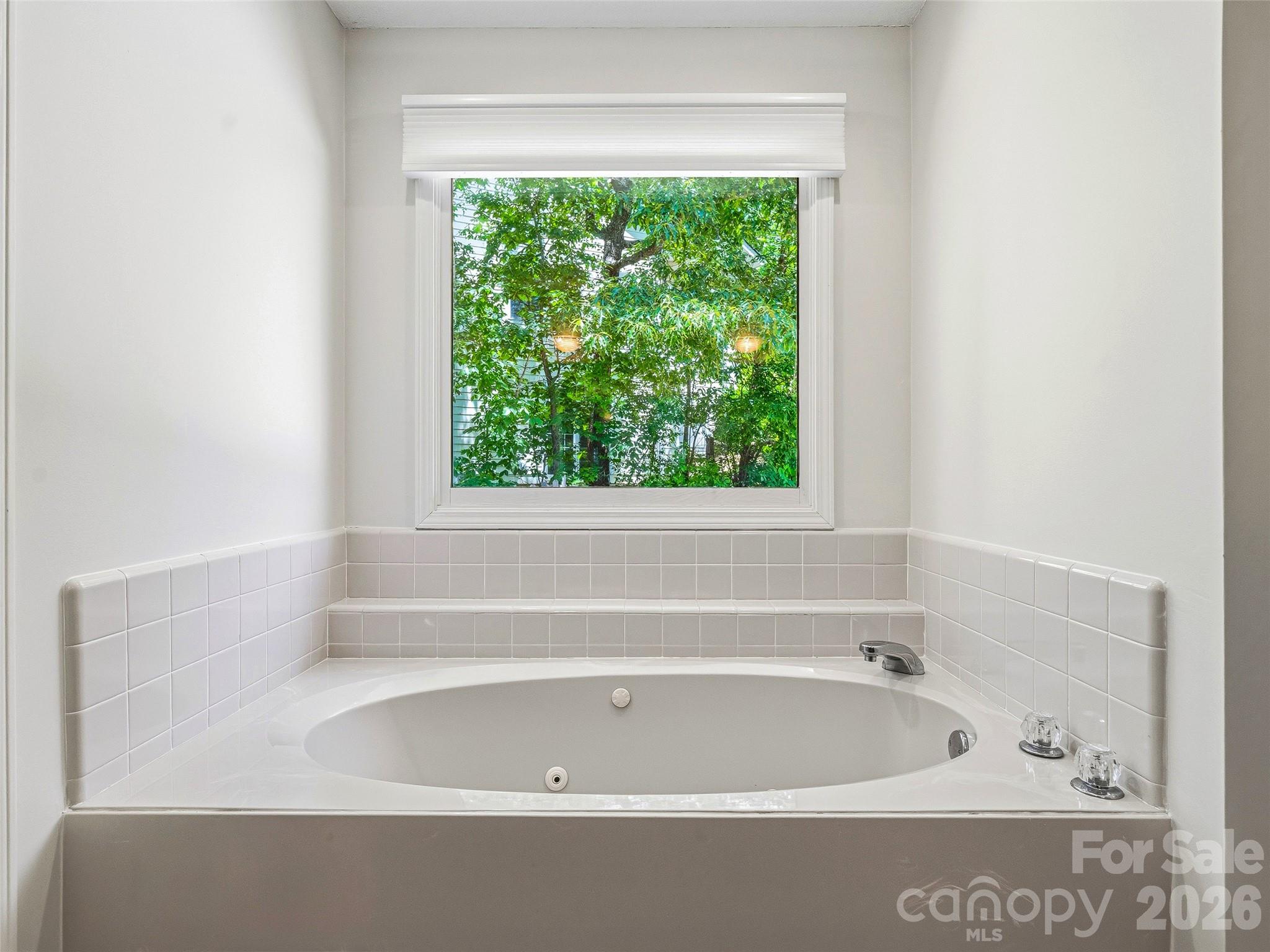 Reems Creek Golf Community - Residential