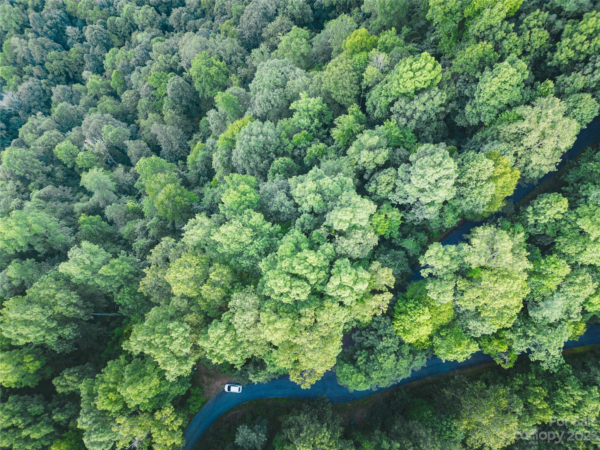 Bear Lake Reserve - Land