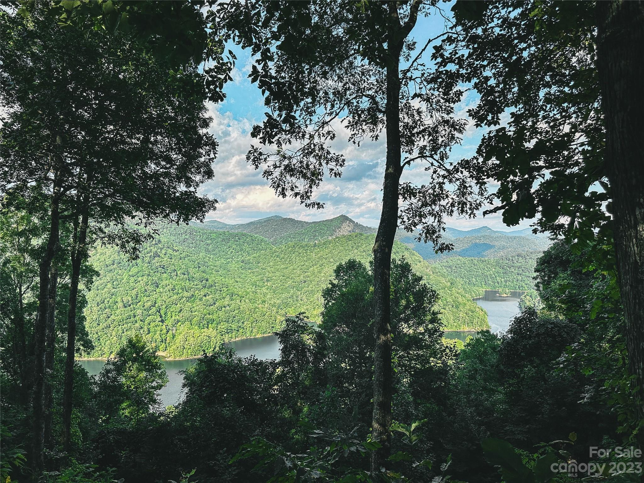 Bear Lake Reserve - Land