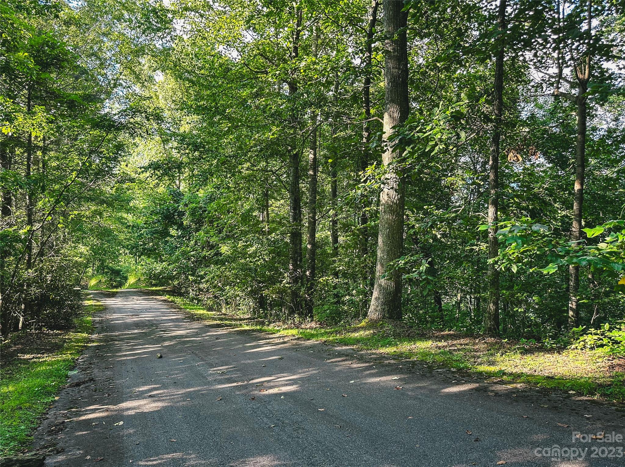 Bear Lake Reserve - Land