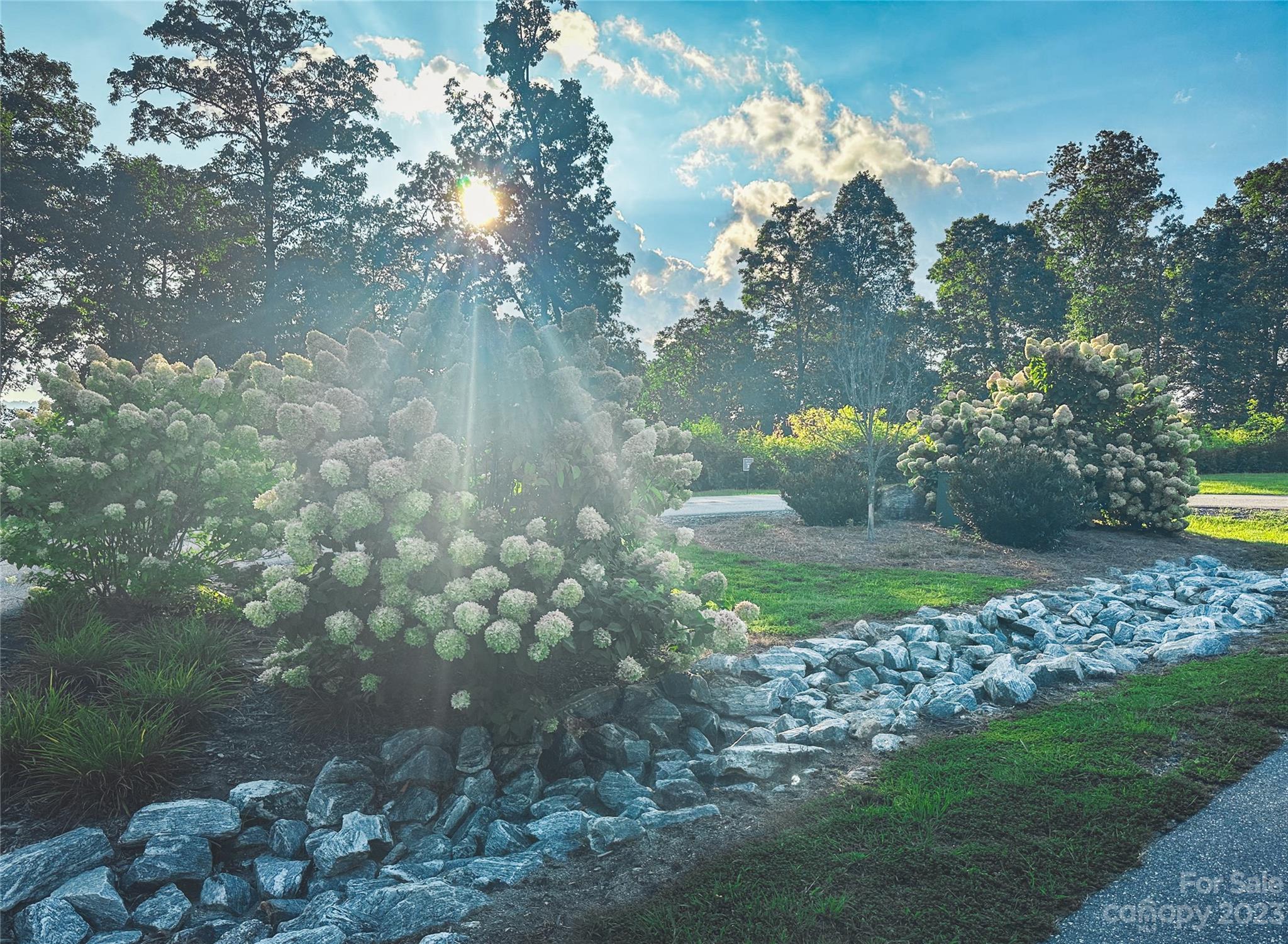 Bear Lake Reserve - Land