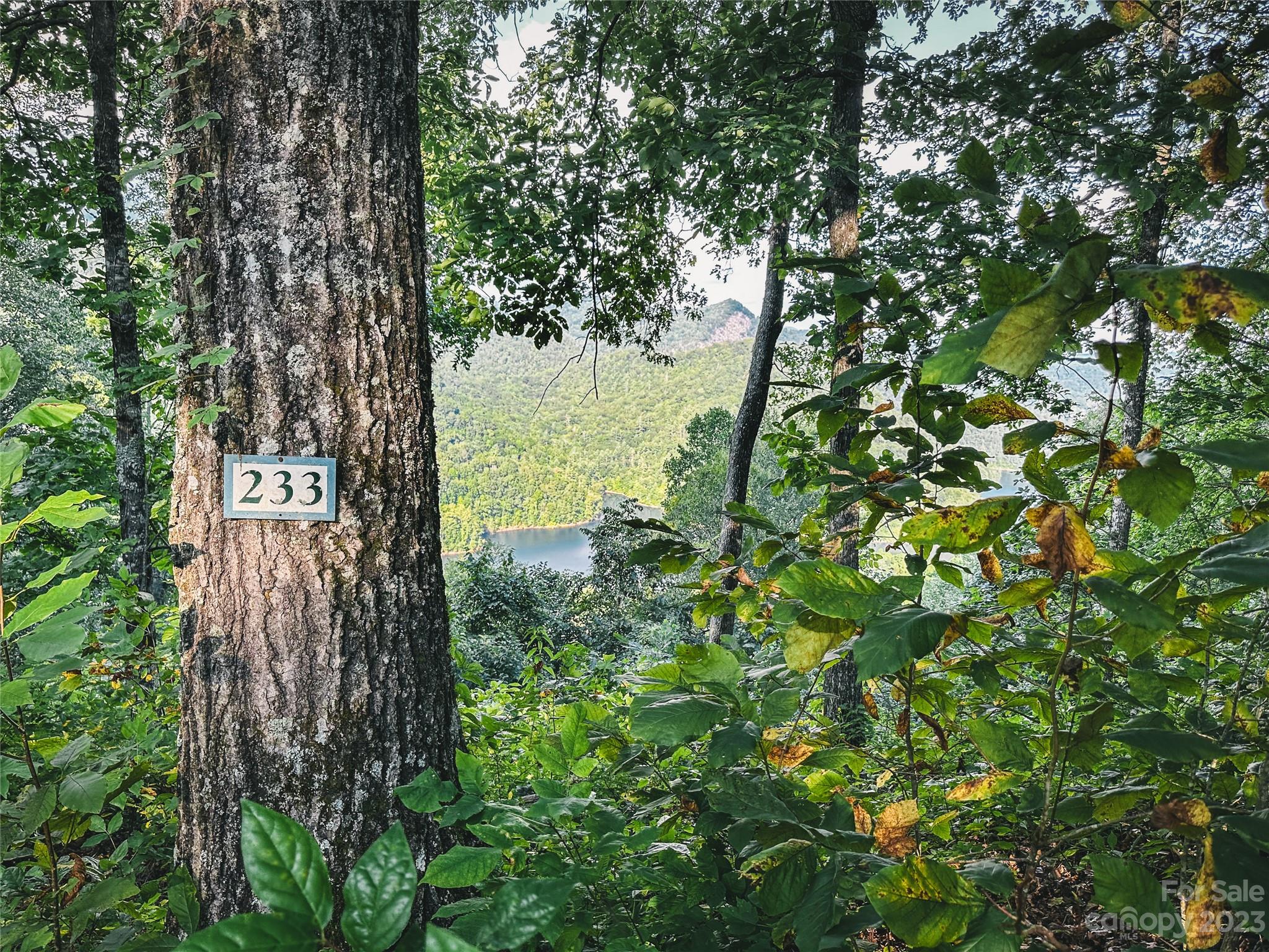 Bear Lake Reserve - Land