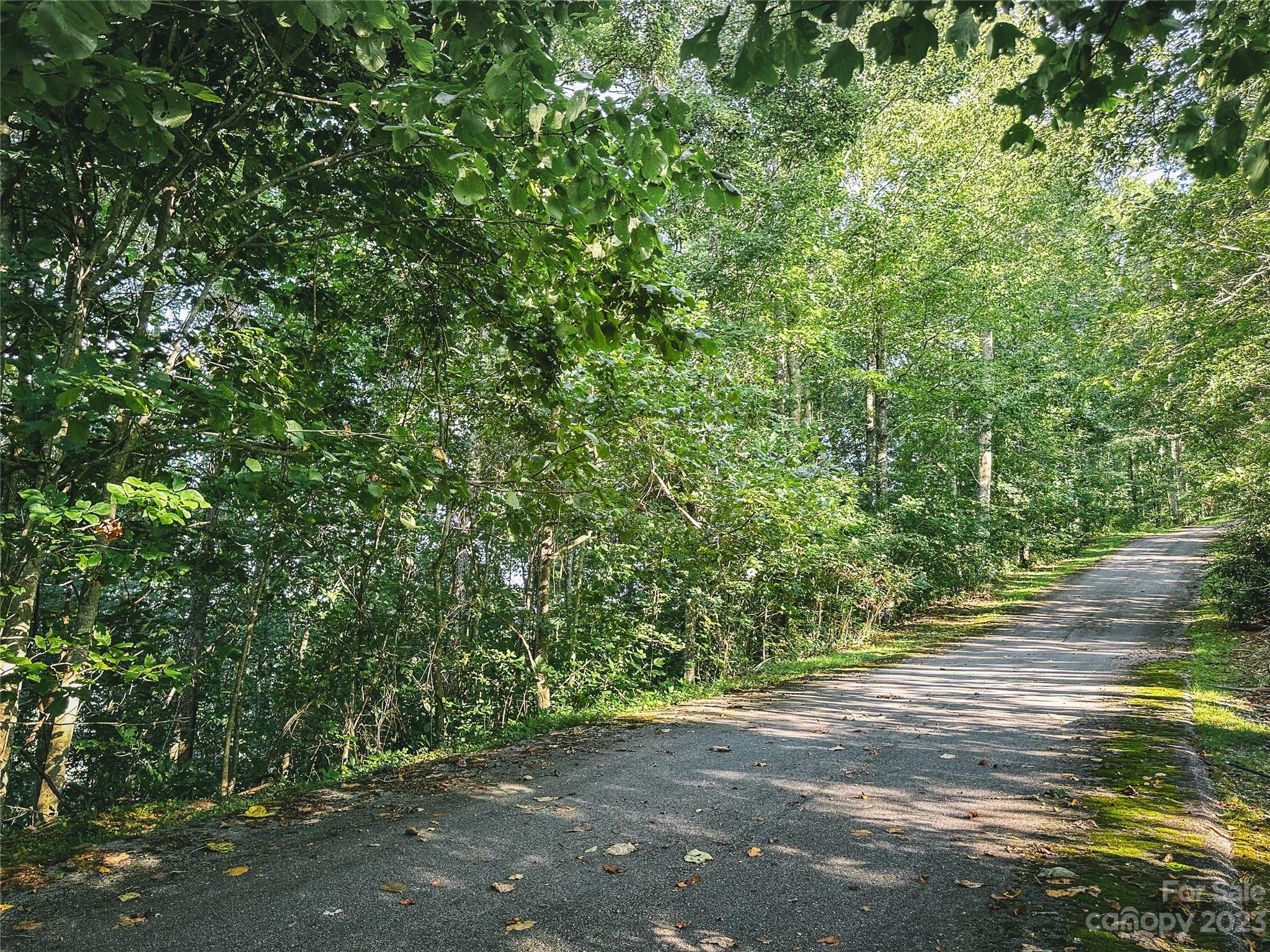 Bear Lake Reserve - Land