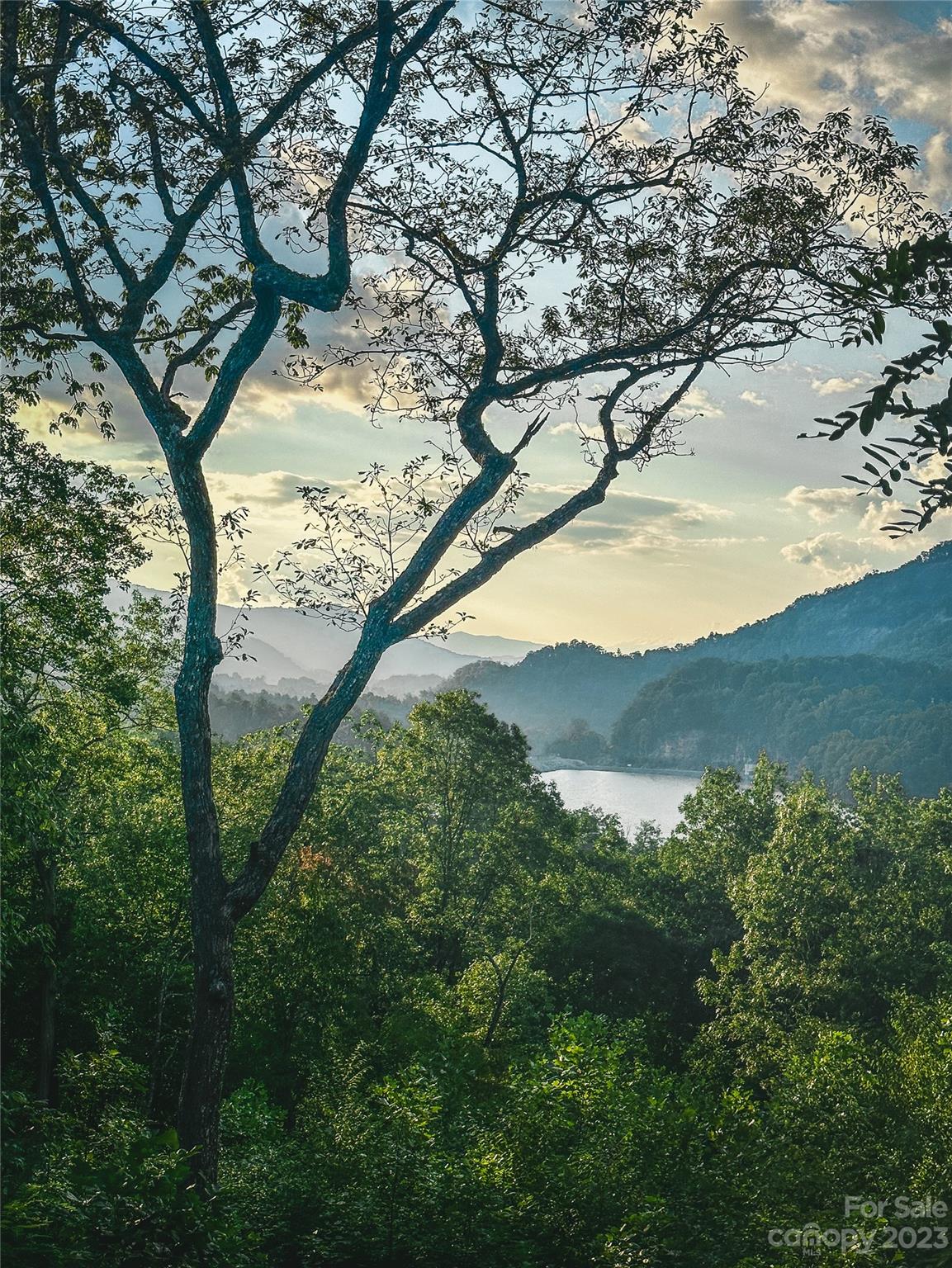 Bear Lake Reserve - Land