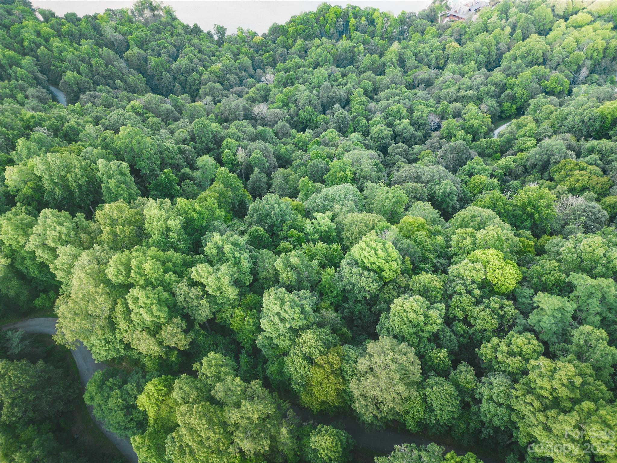 Bear Lake Reserve - Land