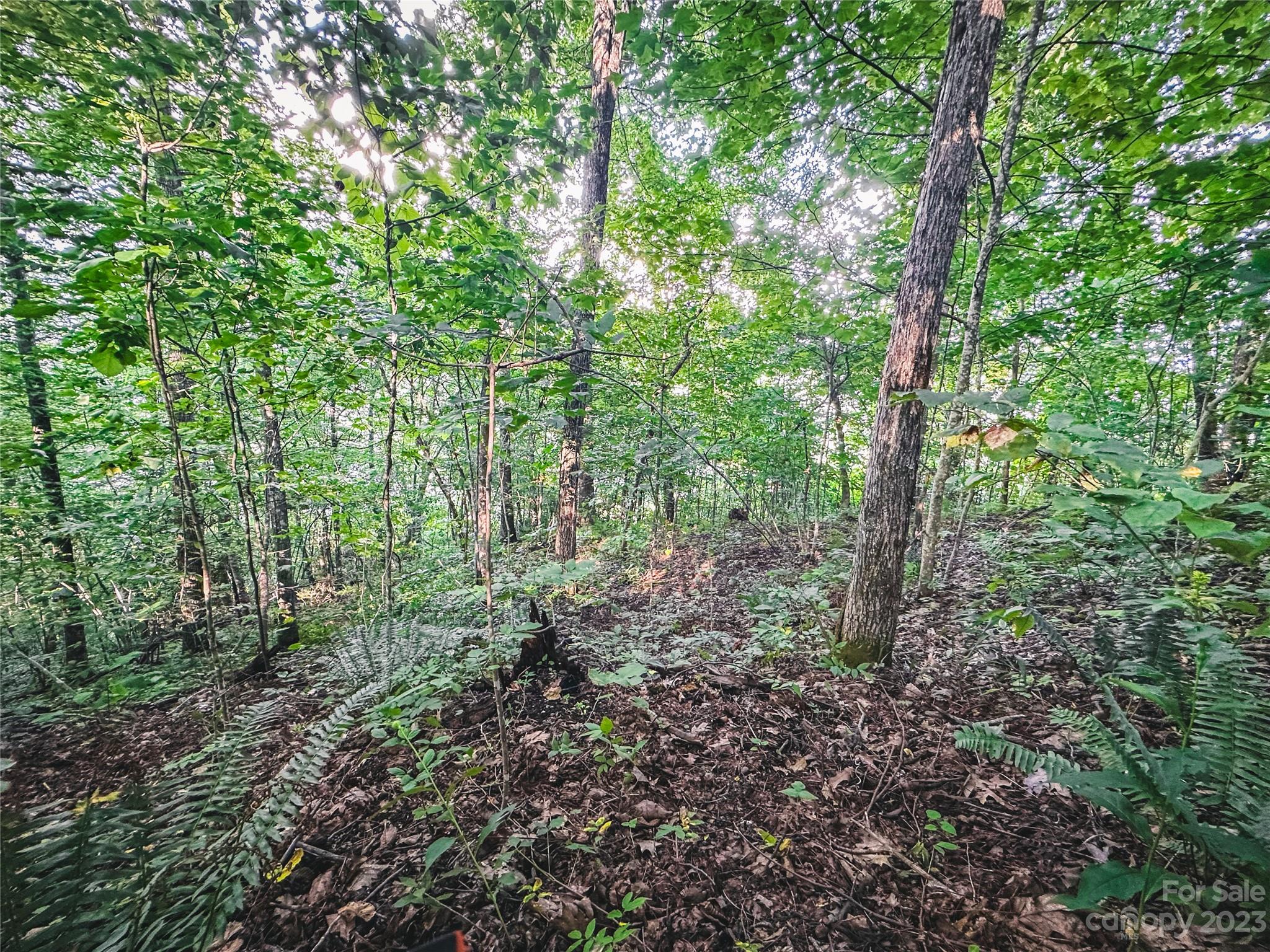 Bear Lake Reserve - Land