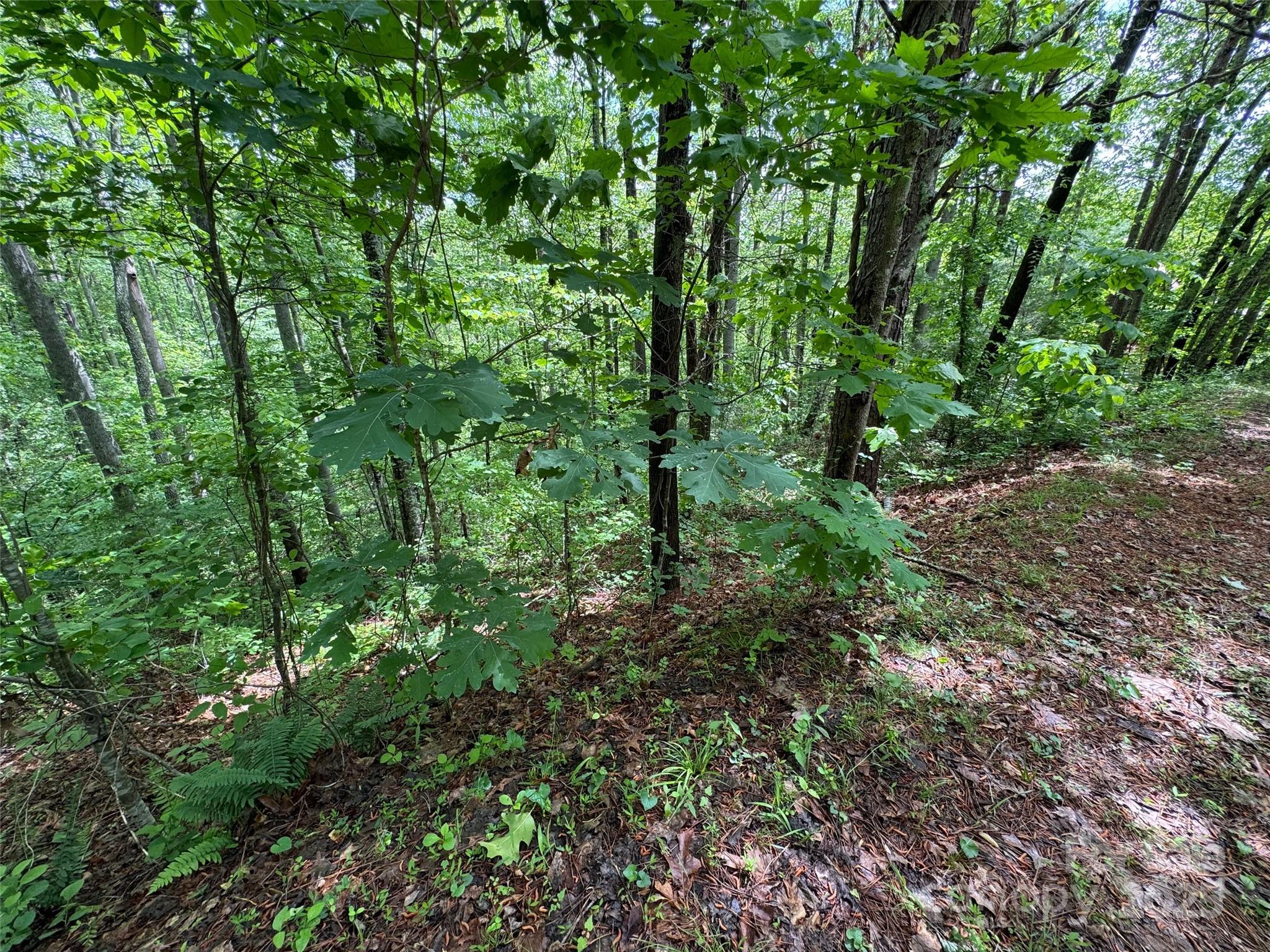 Morning Star Estates - Land