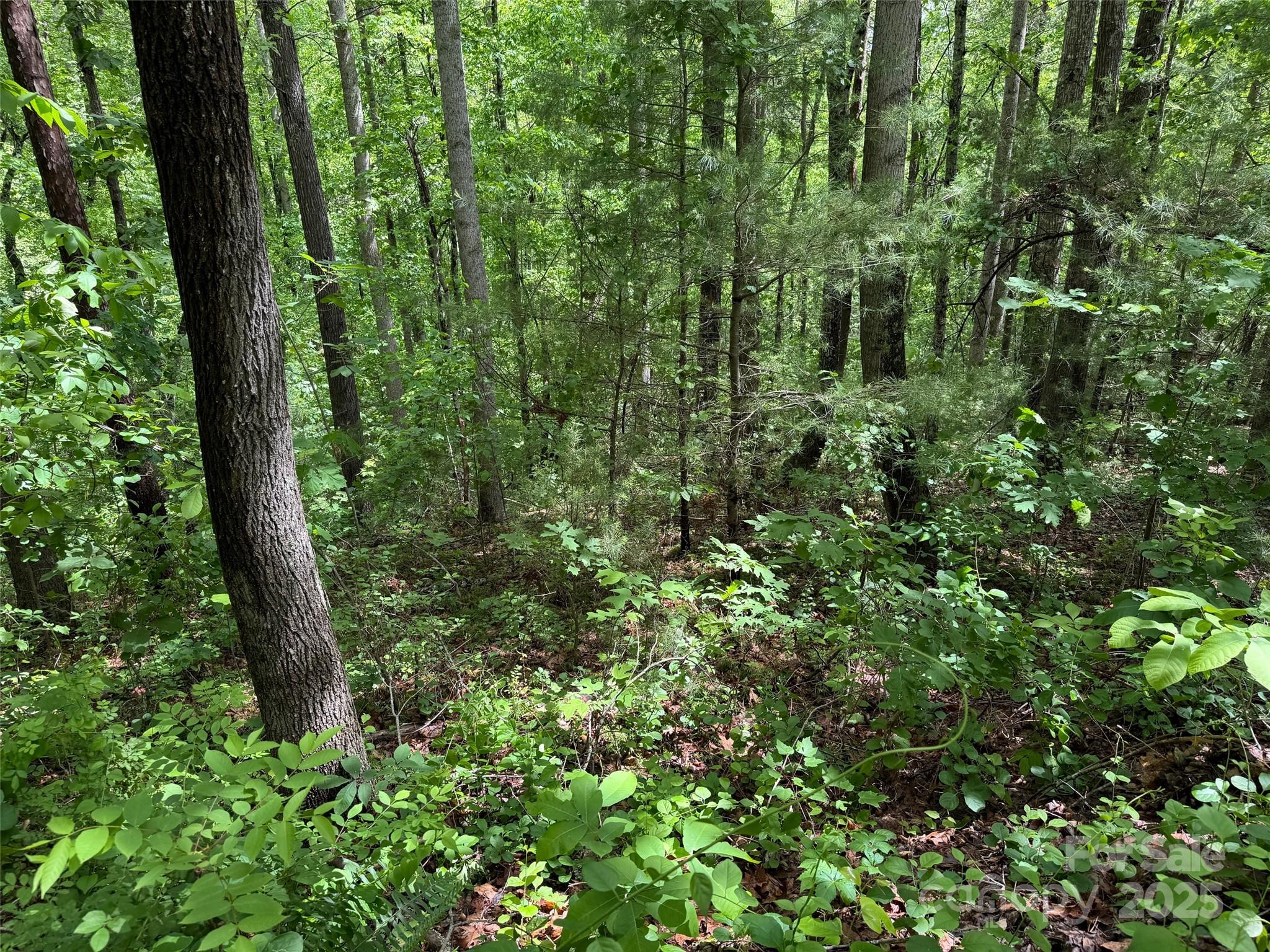 99999 Morning Star Drive Lot 13