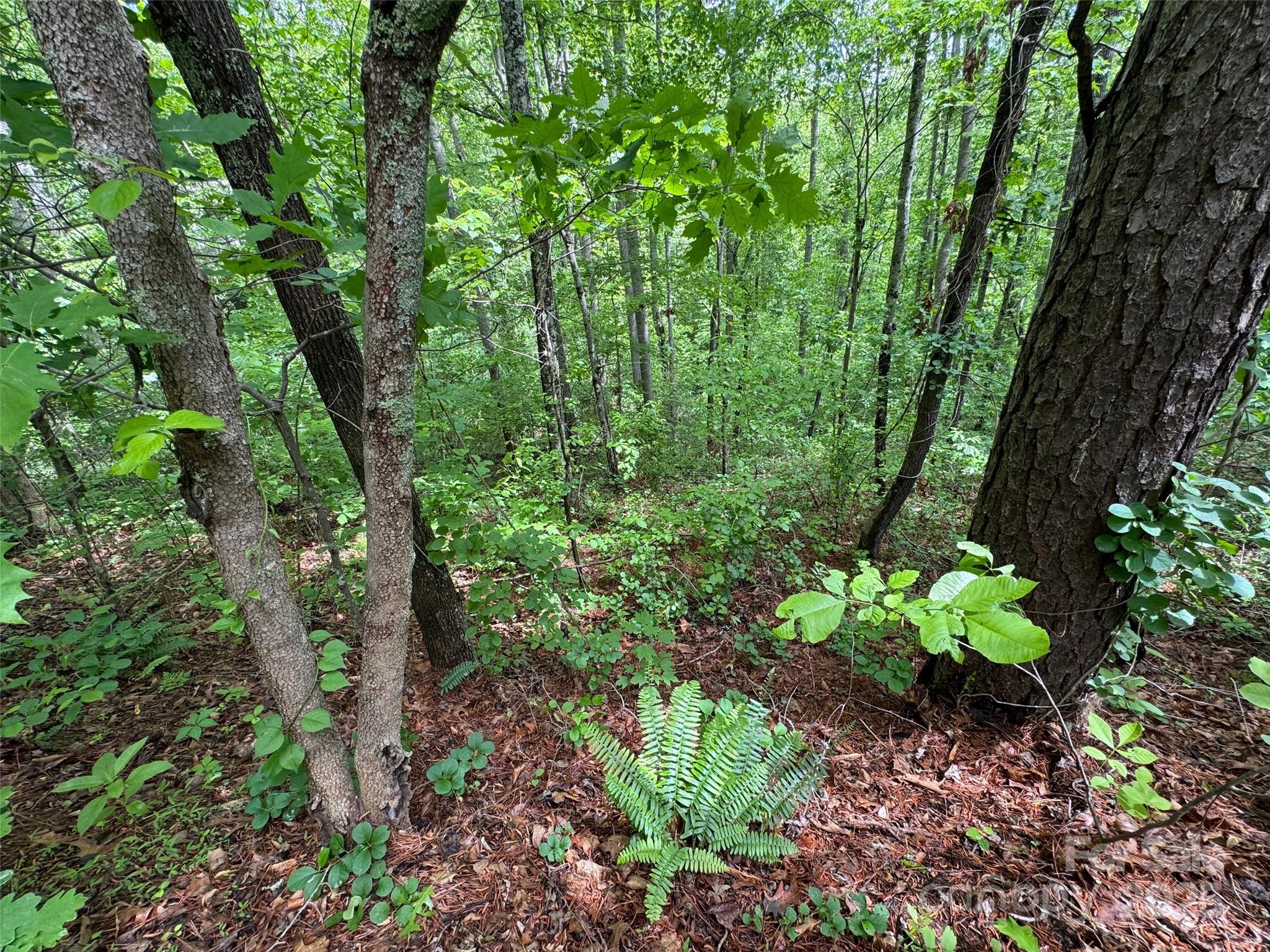 Morning Star Estates - Land