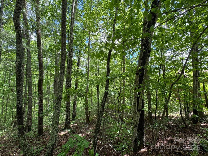 Wow, modulars are allowed! Great building lot in private community with road access maintained by HOA offering lots of privacy and a perfect blend of convenience & nature. Less than 20 minutes to downtown Asheville. Relax in the serenity of country life while enjoying the convenience of local dining and shopping.