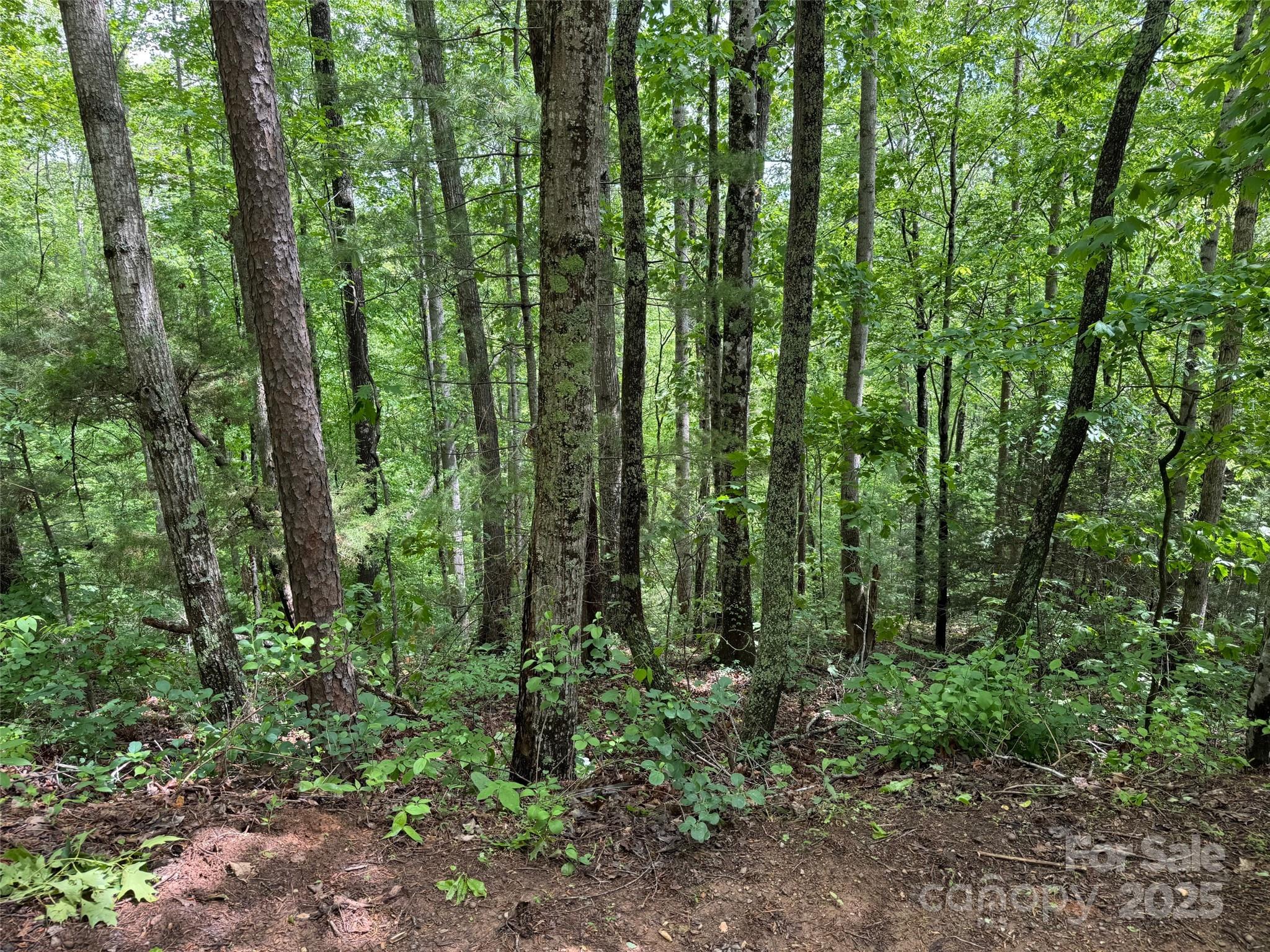 99999 Morning Star Drive Lot 13