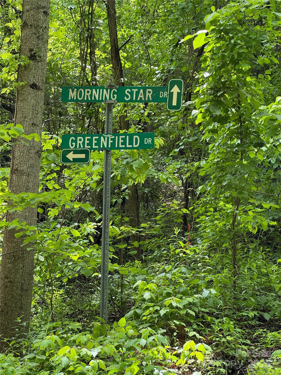 Morning Star Estates - Land