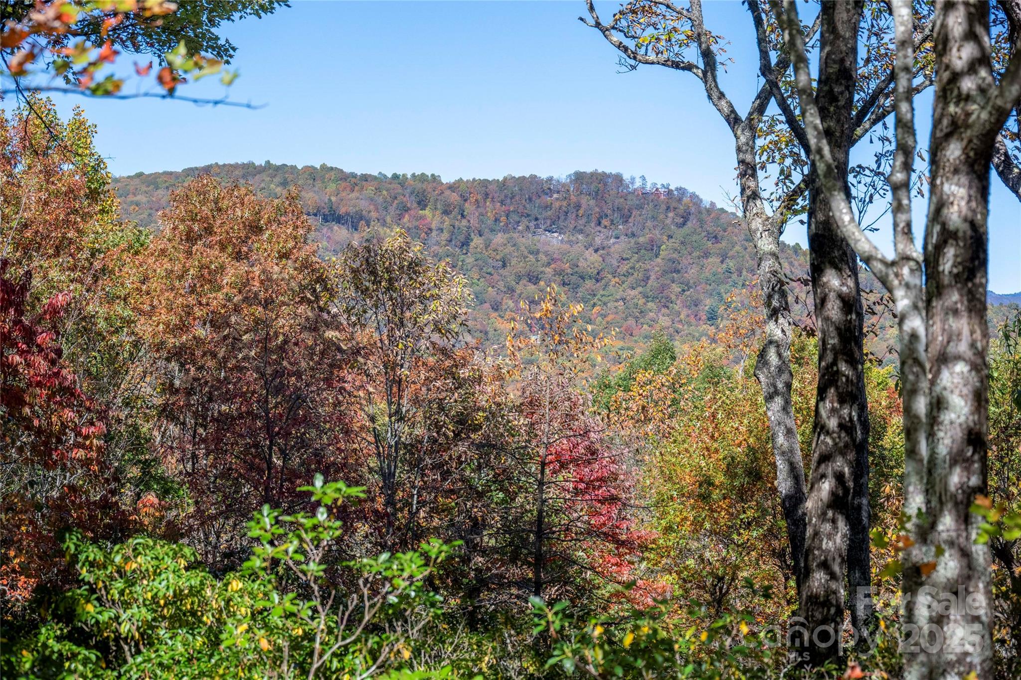 Lake Toxaway Estates - Residential