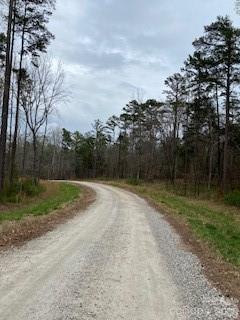 Three Lakes Preserve - Land