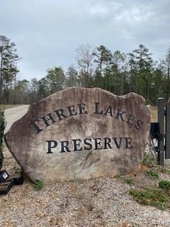 Three Lakes Preserve - Land