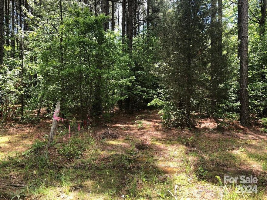 Wow! Beautiful wooded acreage located in the Eastern part of the county. Small pond with many areas to build your dream home with plenty of privacy. Per GIS map it has 957 feet of road frontage.