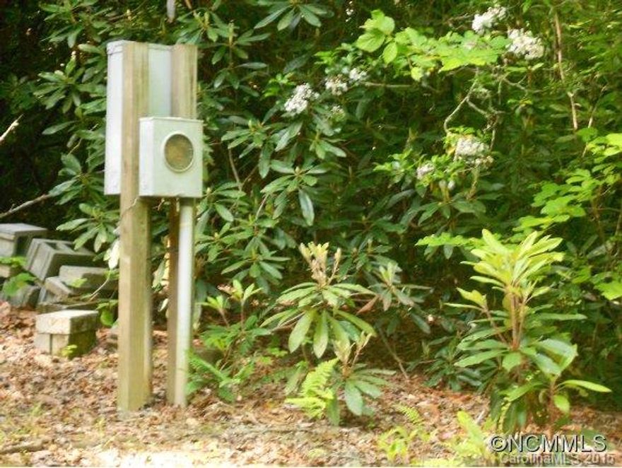 Nice wooded lot with access to community water.  Manufactured homes are fine!  Possible owner financing for serious home buyer!  Septic and electric on site! Site was previously set up with manufactured home!