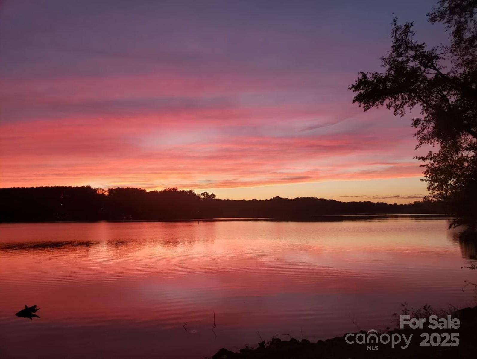 Lake Wylie - Residential