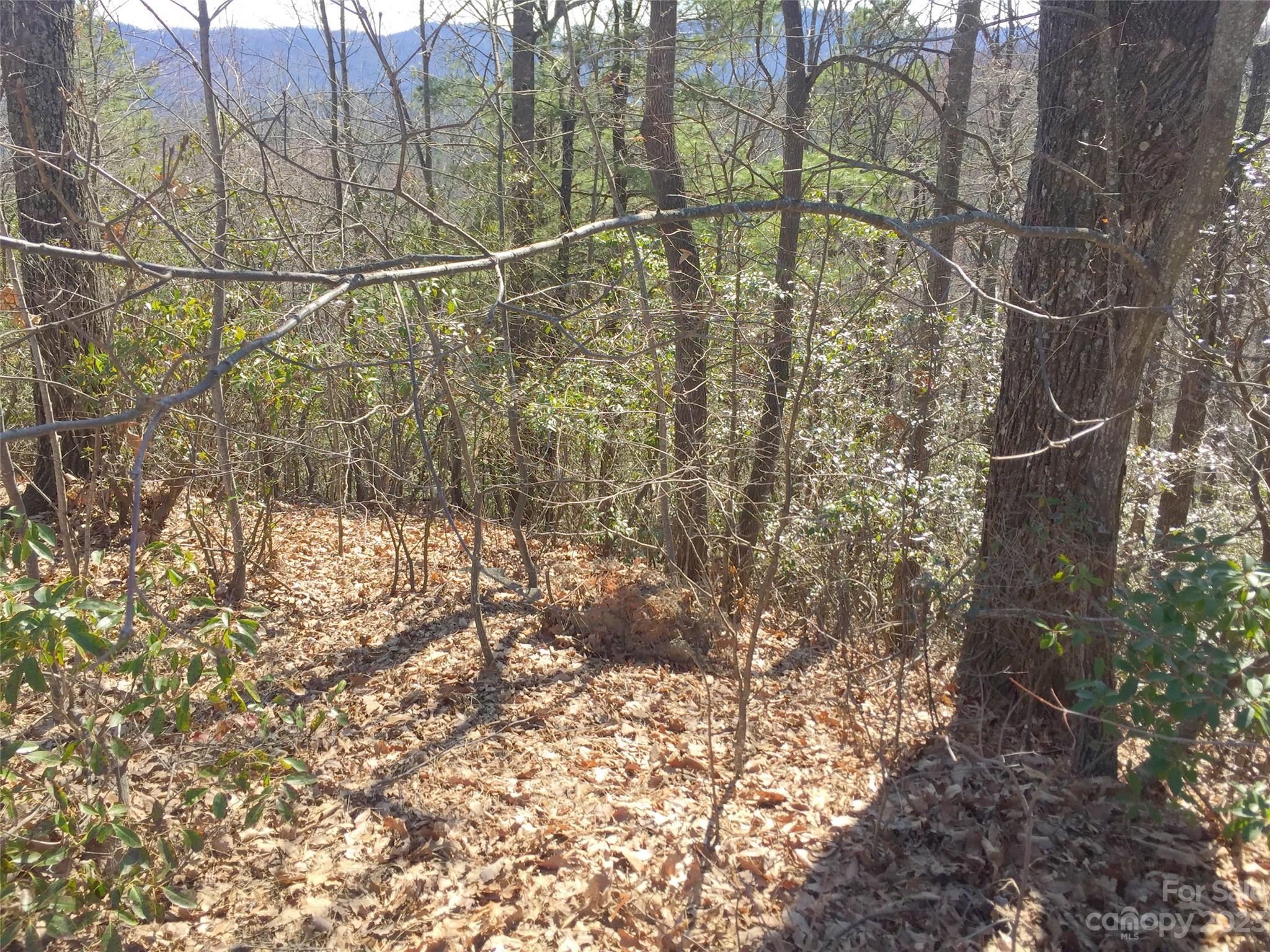 Champion Hills - Land