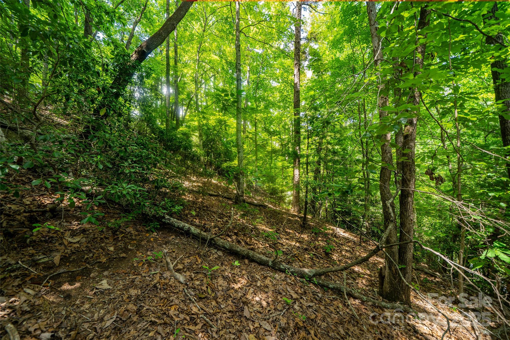 00000 Foster Hill Drive 3
