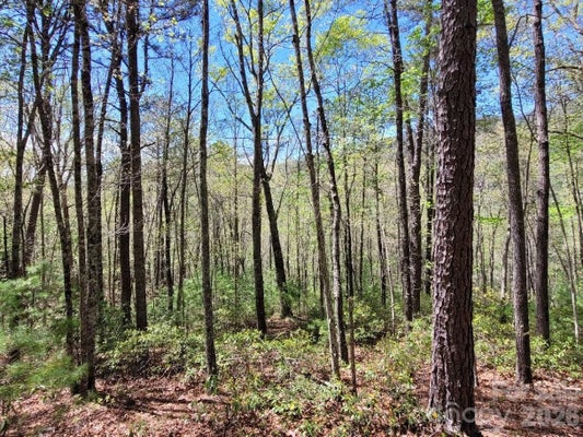 LOT 21 LITTLE FOX RUN, MARION, NC 28752 - Image 91c07a6117da0dc4006f5dffc837a3ae/463594067