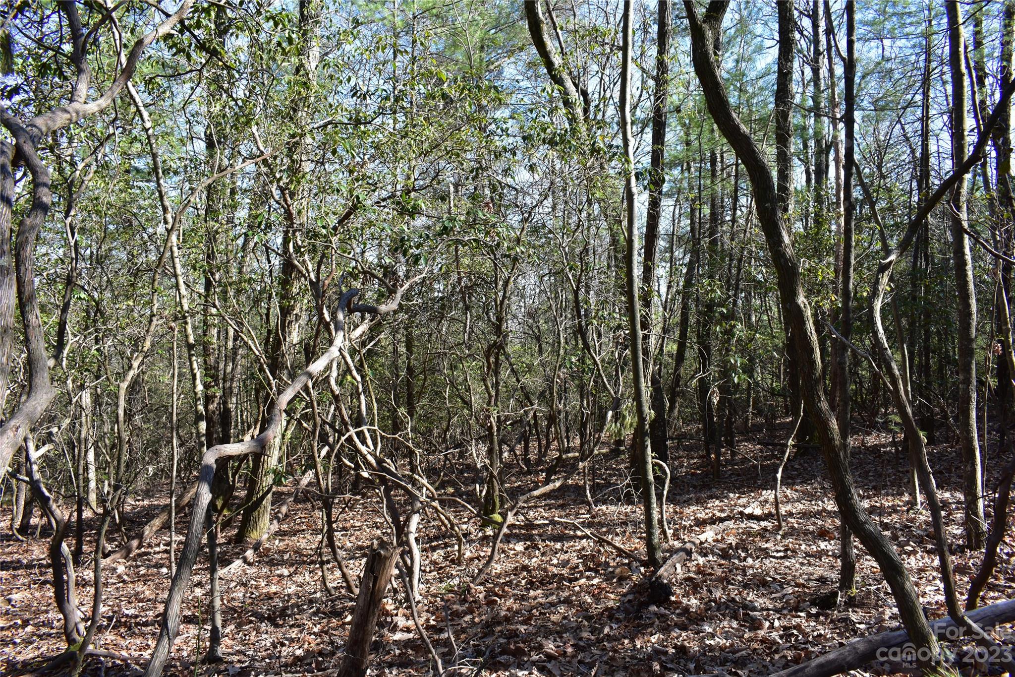 Buck Mountain - Land