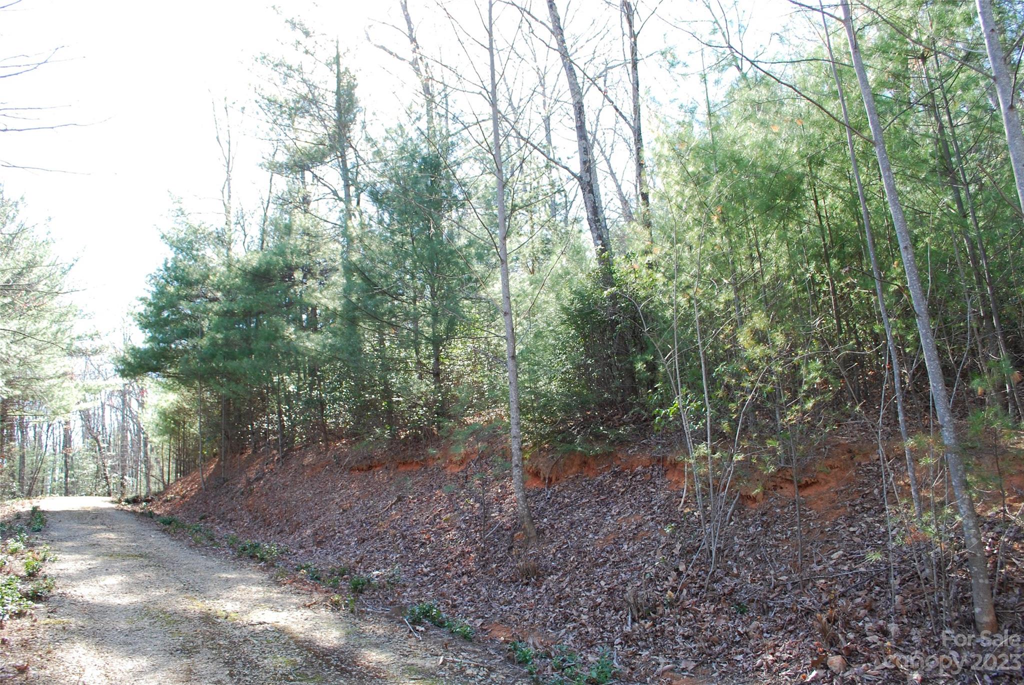 Buck Mountain - Land