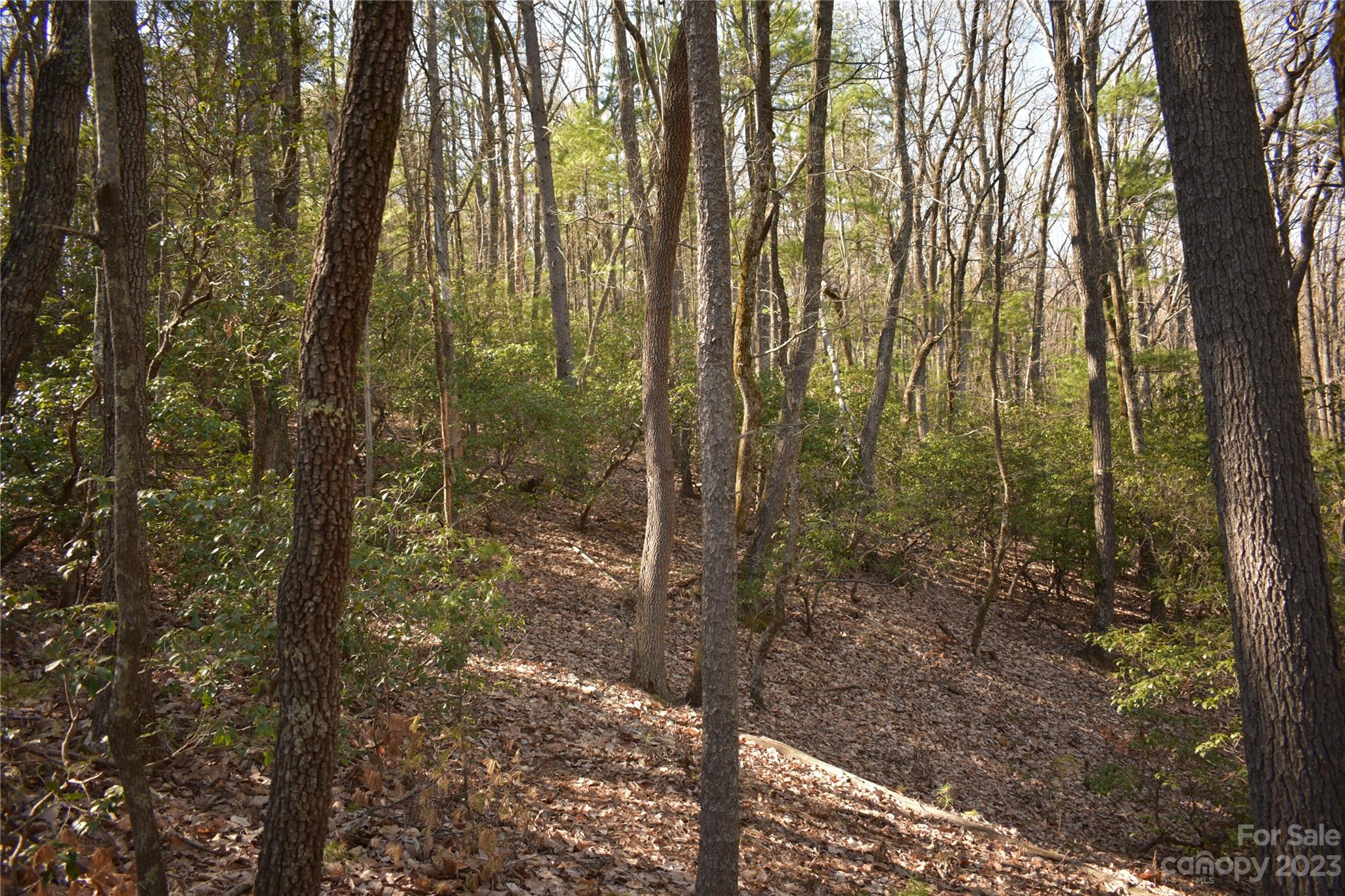 Buck Mountain - Land