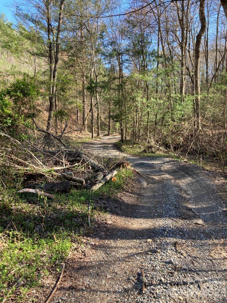 Buck Mountain - Land