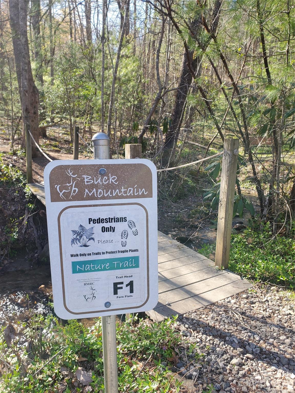 Buck Mountain - Land