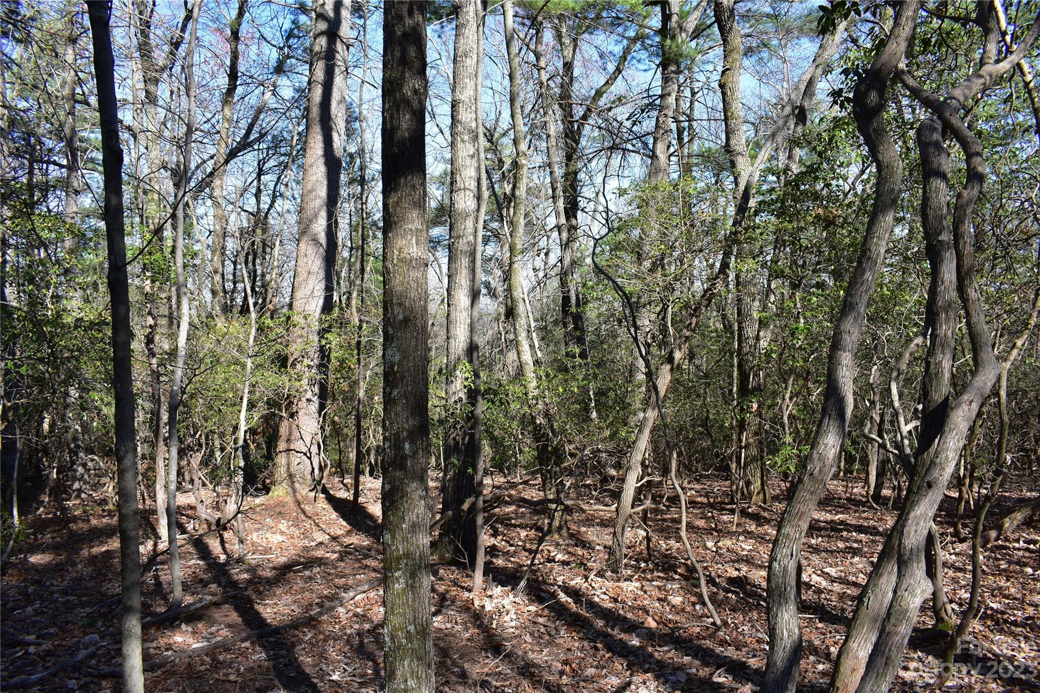Buck Mountain - Land