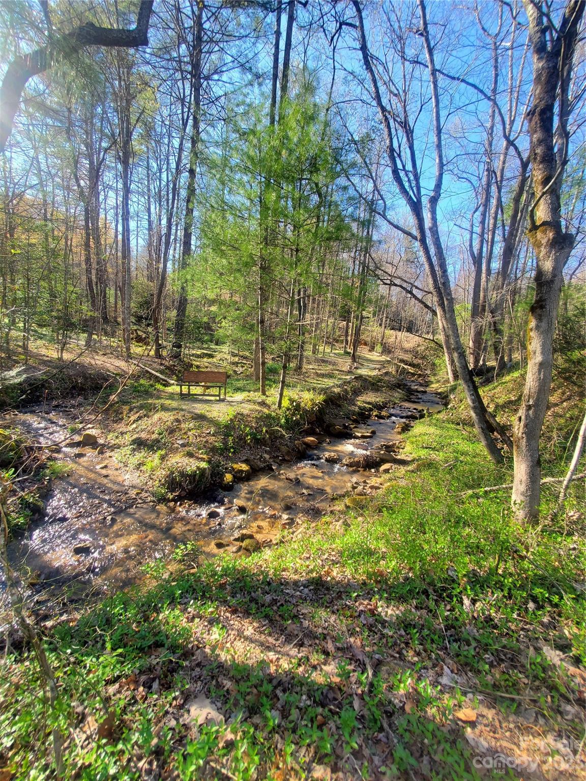 Buck Mountain - Land