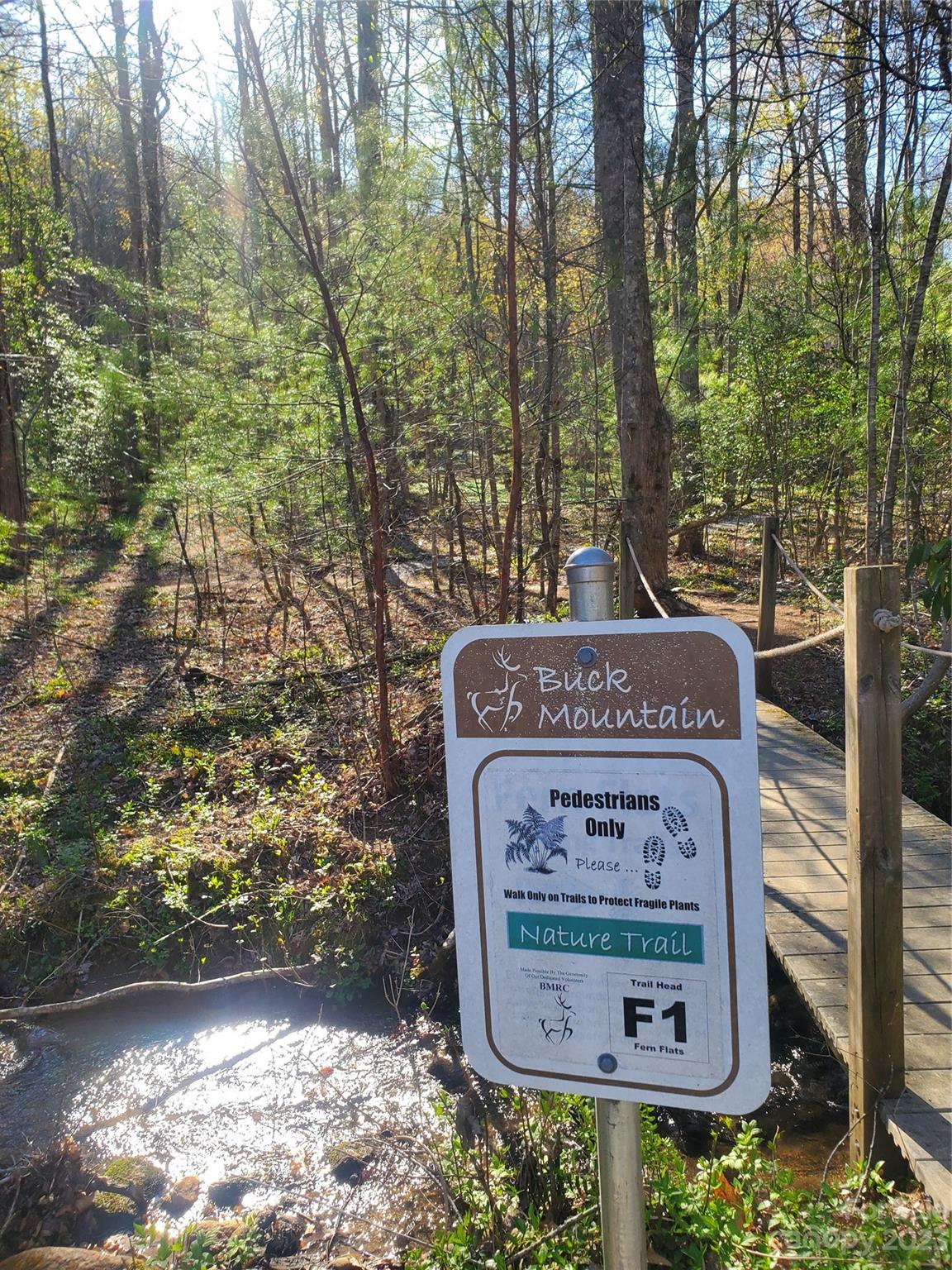 Buck Mountain - Land