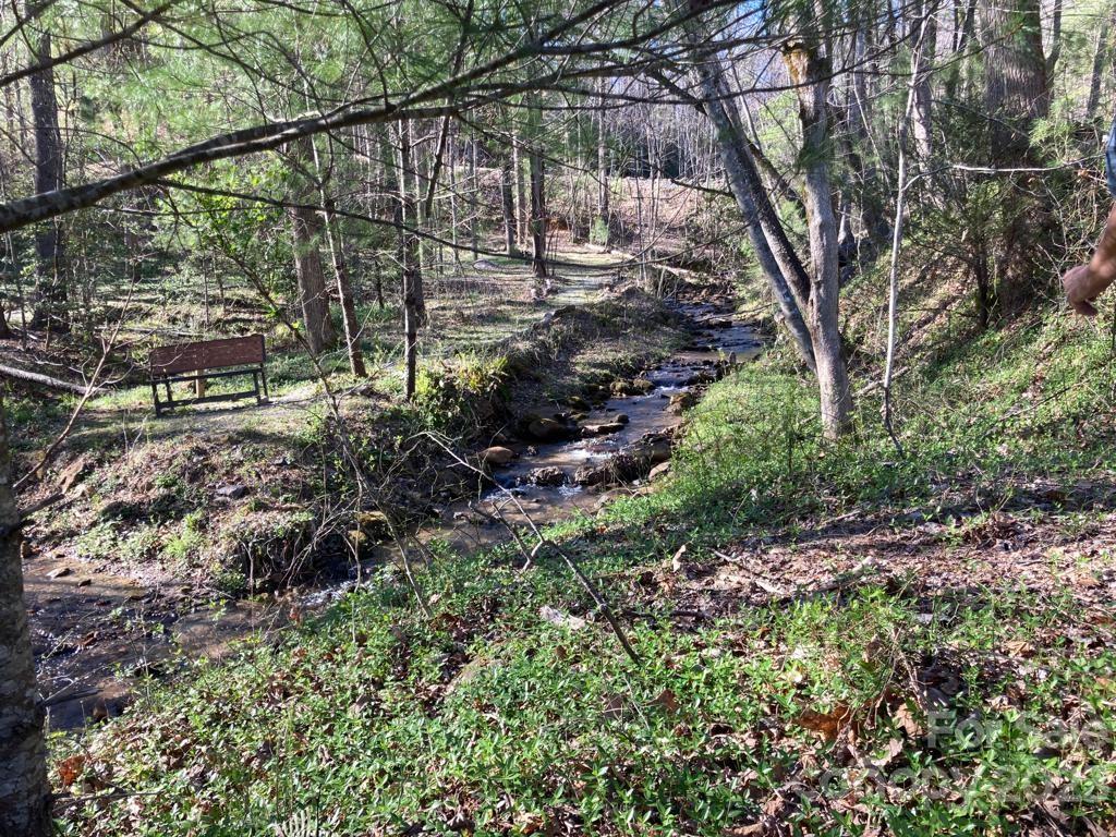 Buck Mountain - Land