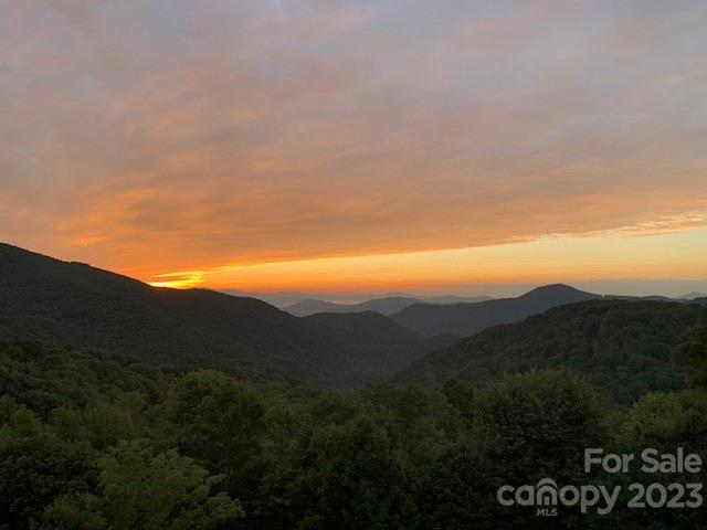 Wolf Laurel - Residential