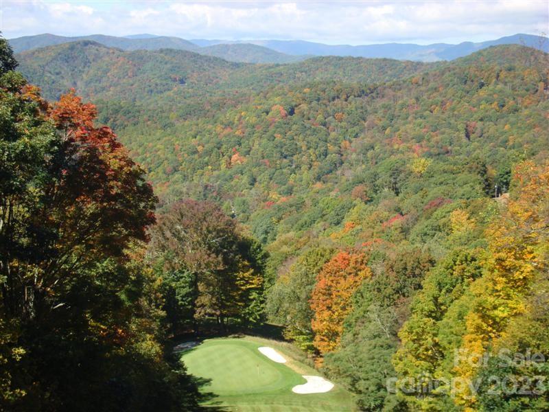 Wolf Laurel - Residential