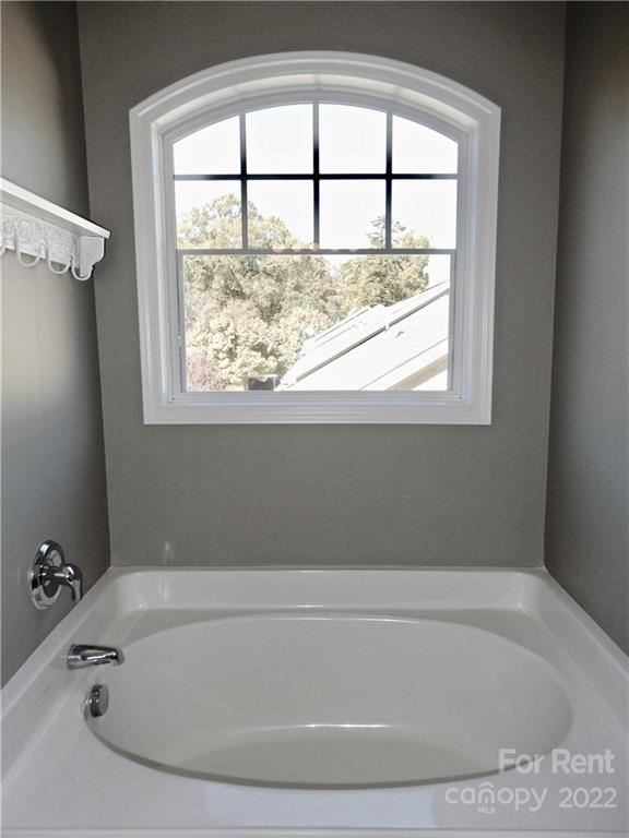 Avondale - Residential Lease