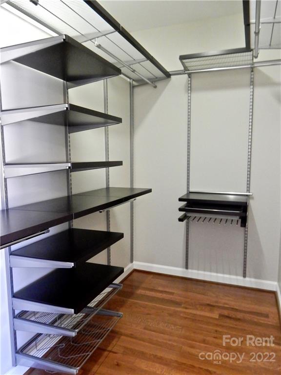 Avondale - Residential Lease