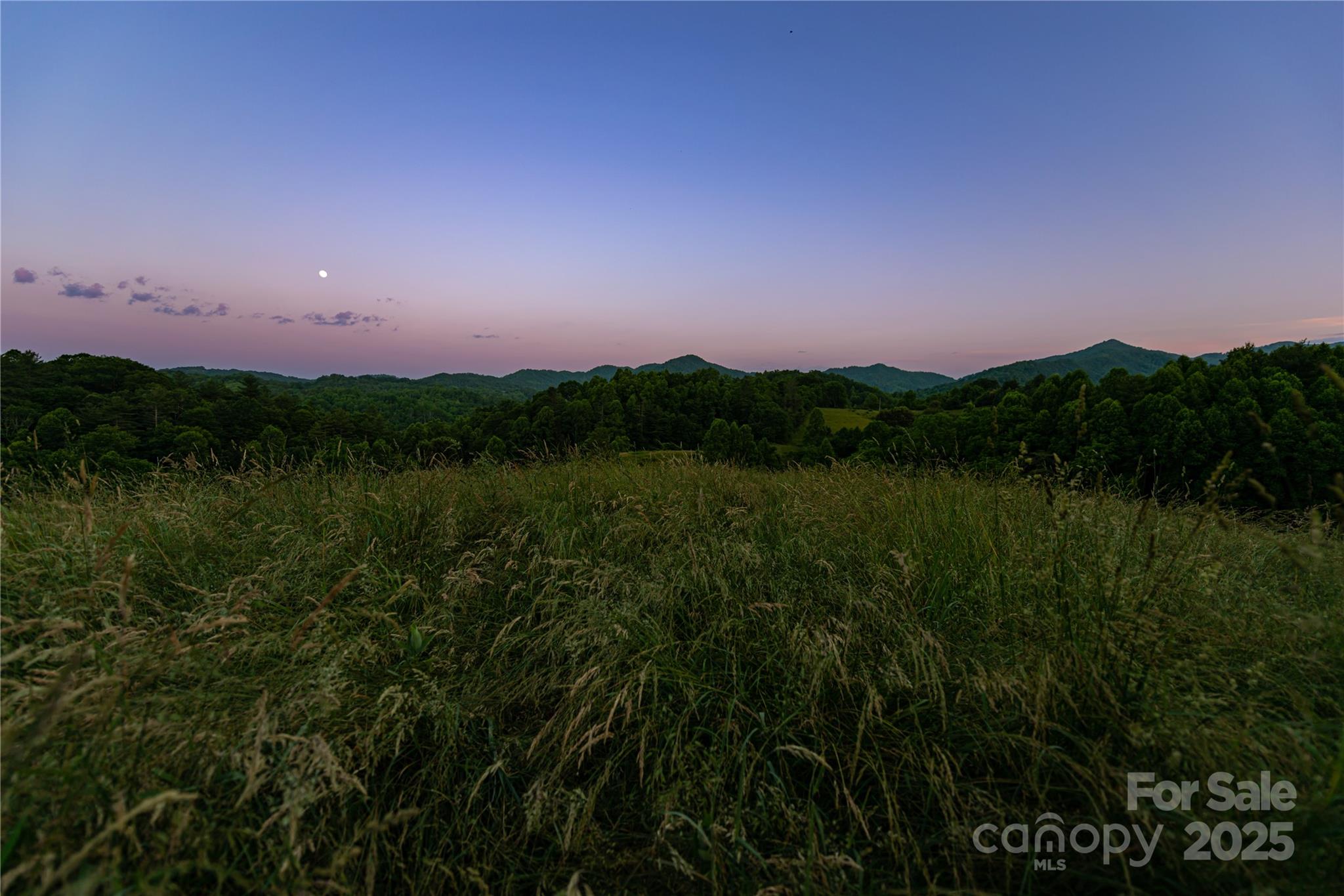 523 Lower Paw Paw Road