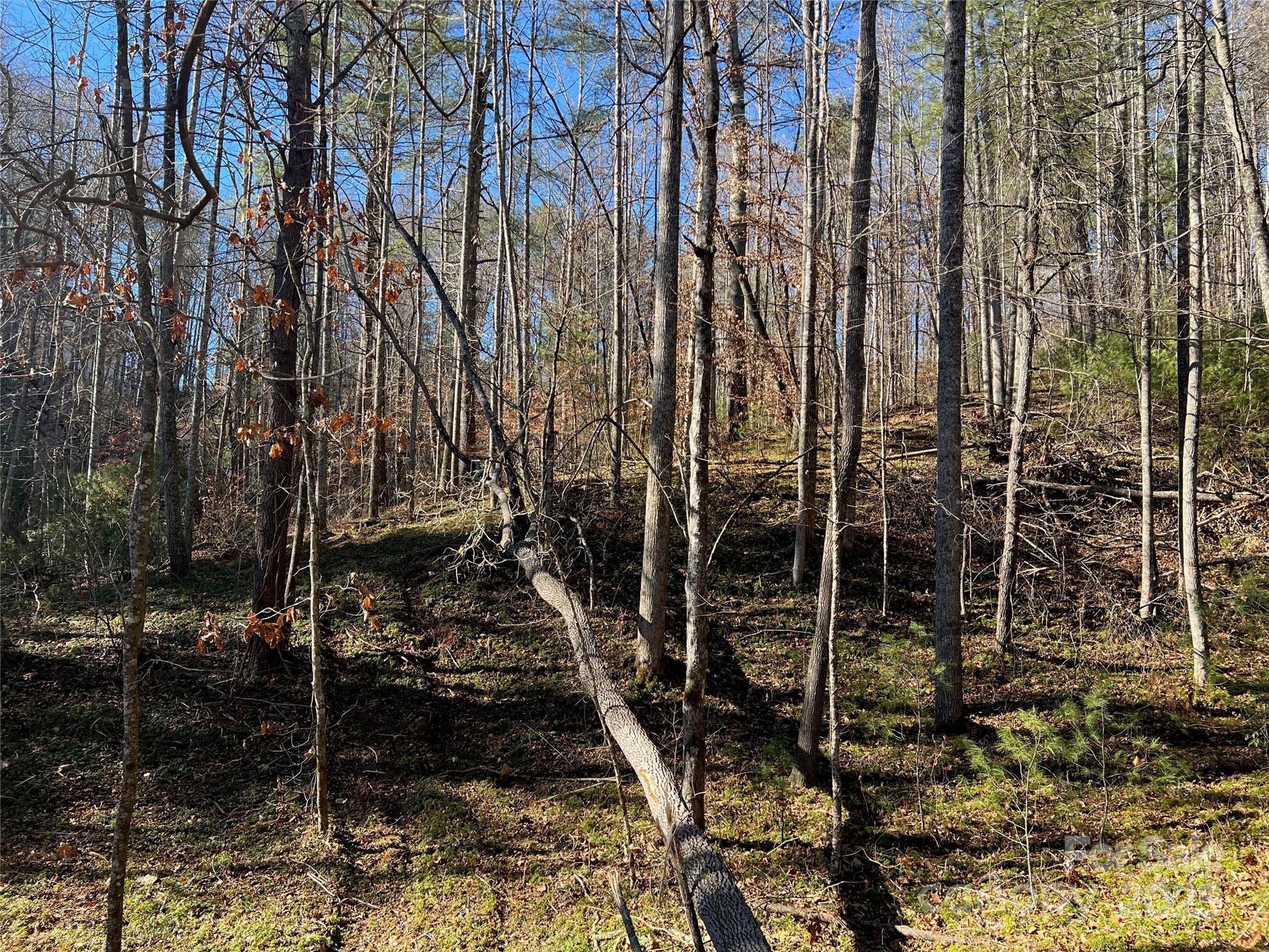 147 Falling Leaves Lane 50