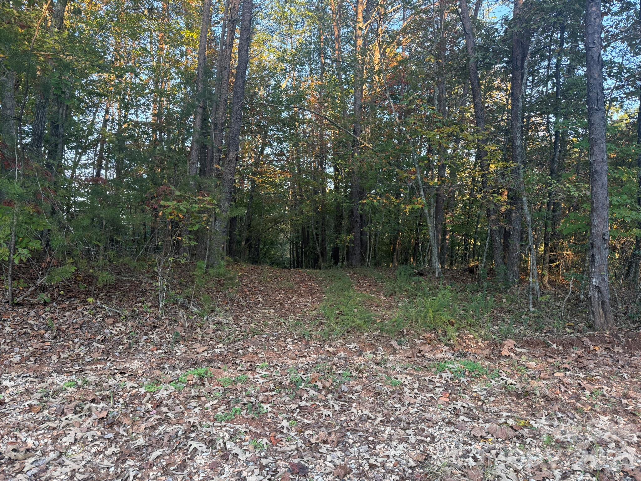 V/L Secluded Circle