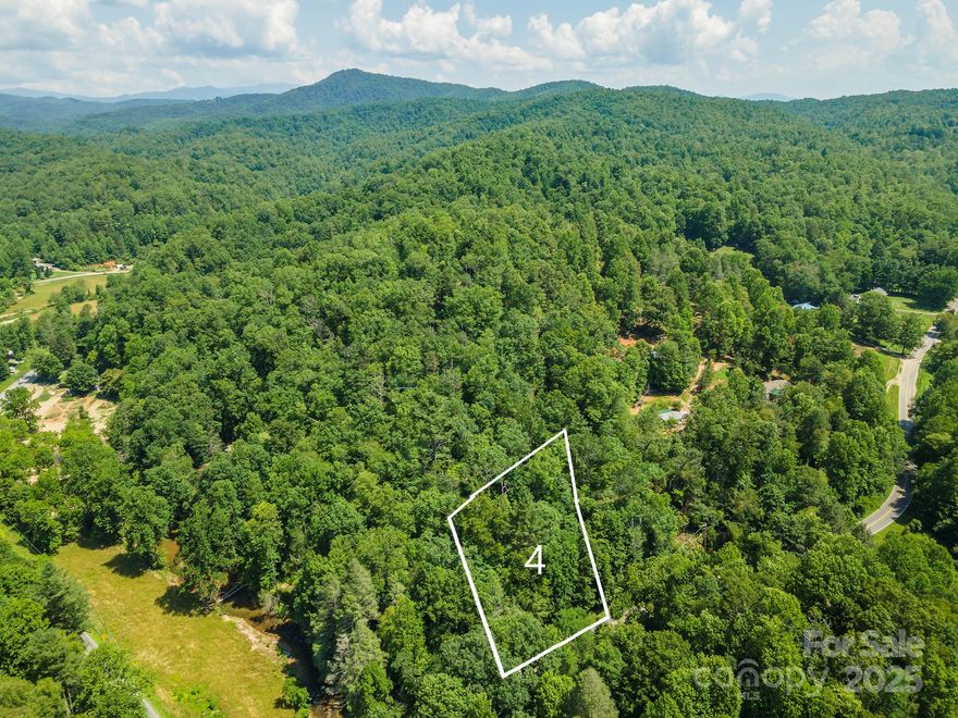 Discover this remarkable opportunity to own open-use mountain acreage in the Blue Ridge Mountains. This property offers privacy and breathtaking natural beauty located across from the Broad River. GPS location is Roy's Lane or Old Fort Rd.